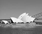 Sydney icon