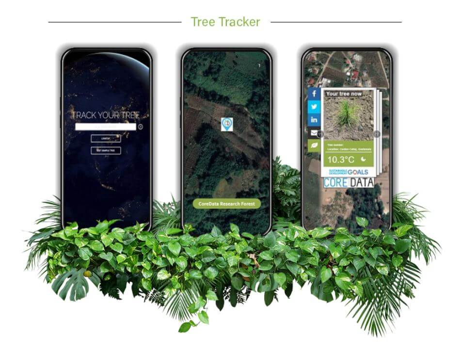 Tree tracker demo